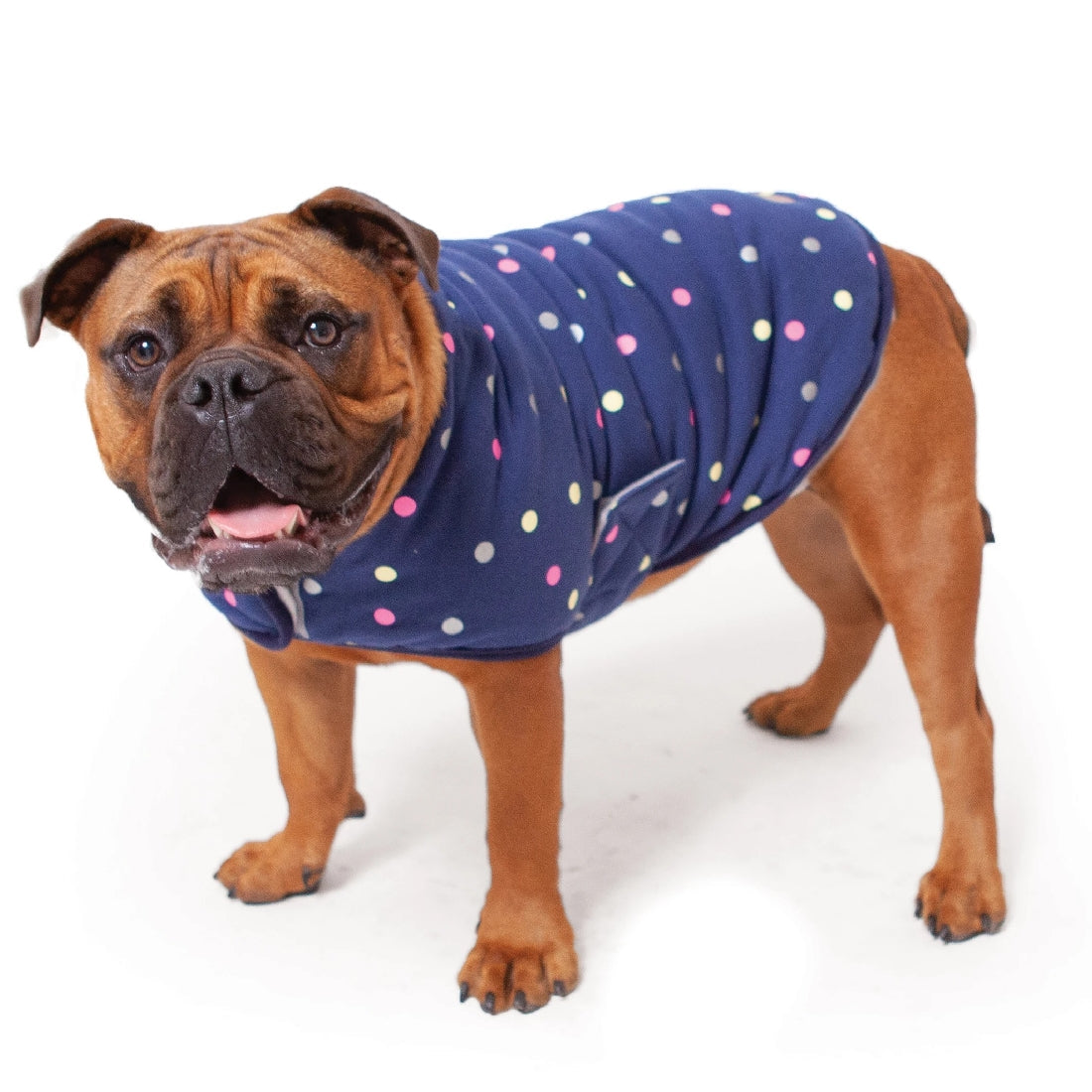 Kazoo sales snuggle jacket