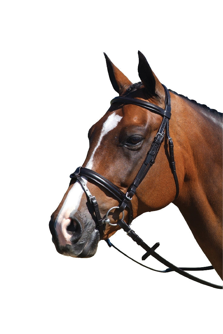 Bridle Hanoverian Leather Grainge Black