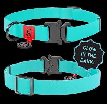 Glow dark clearance dog collars