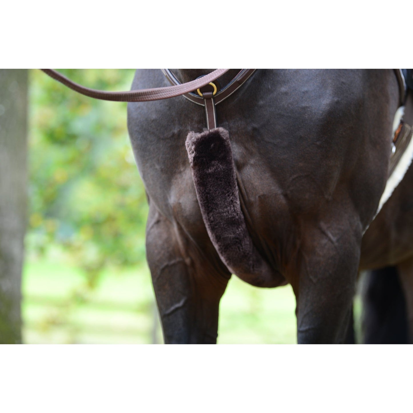 Kentucky Sheepskin Breastplate Cover