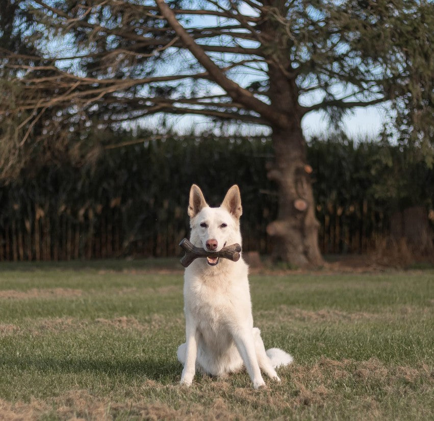 Benebone Maplestick Small