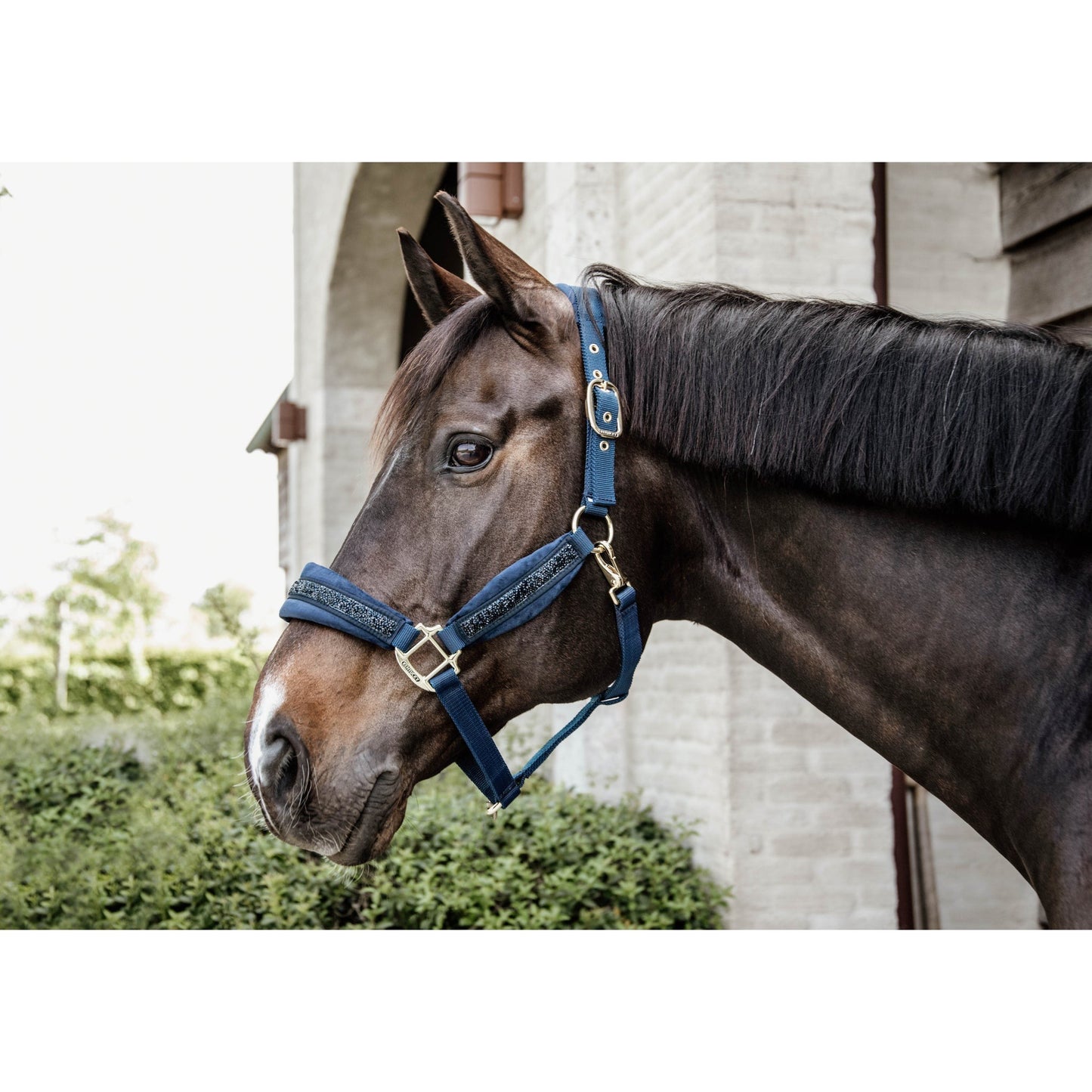 Kentucky Horsewear Glitter Stones Halter