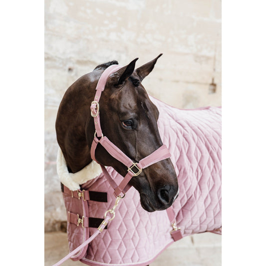 Kentucky Horsewear Velvet Halter