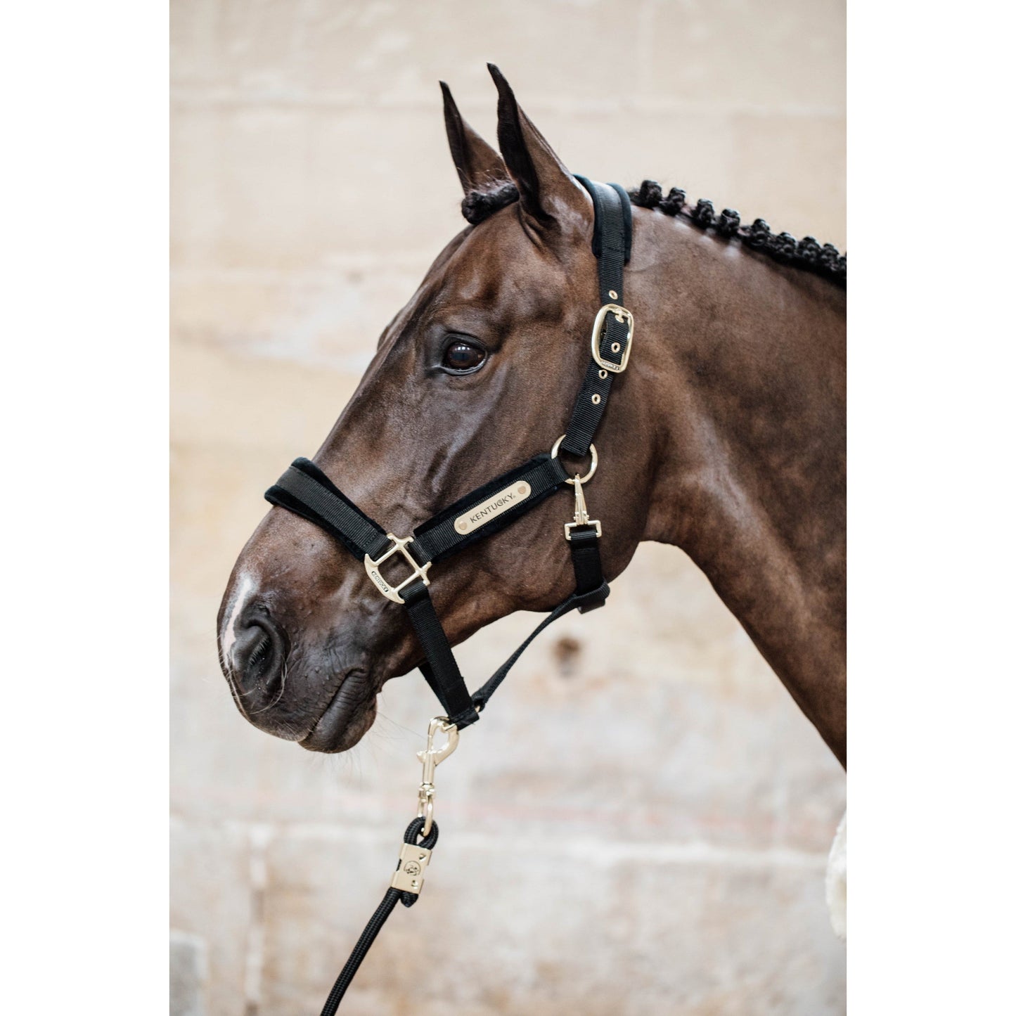 Kentucky Horsewear Velvet Halter