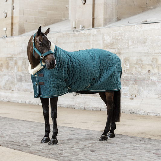 Kentucky Horsewear's Velvet Show Rug