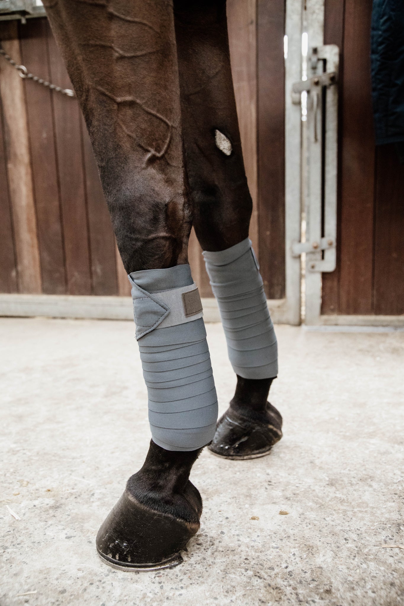 Set 2 of Kentucky Horsewear Repellent Working Bandages.