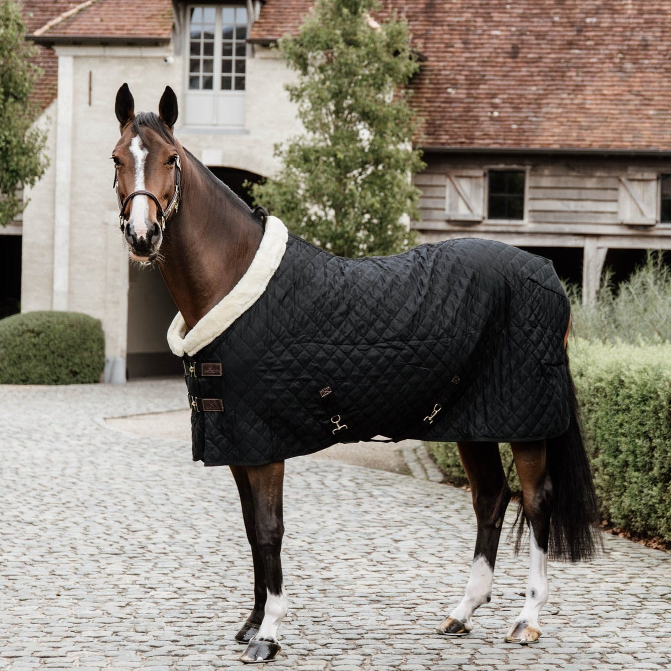 Kentucky Horse Rug - 160g Show Rug