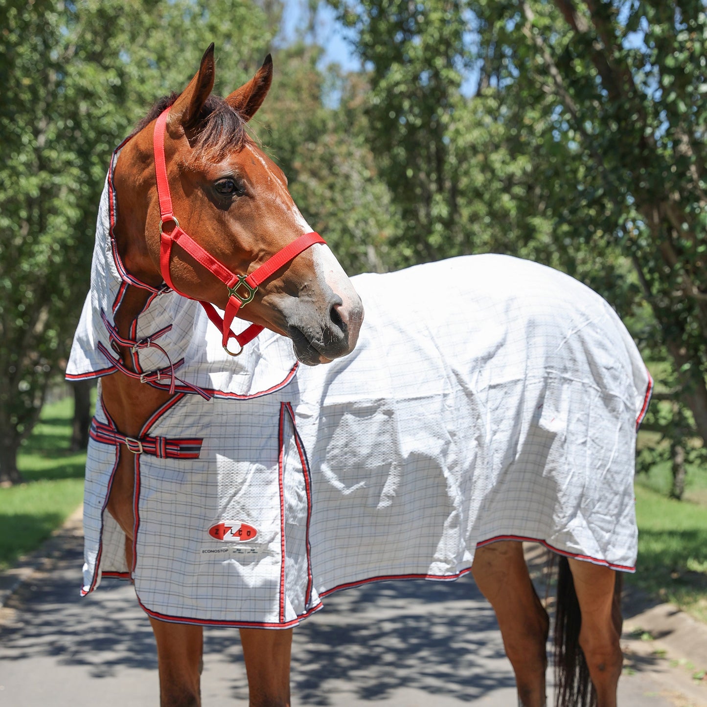 Zilco Horse Rug: Econostop Combo