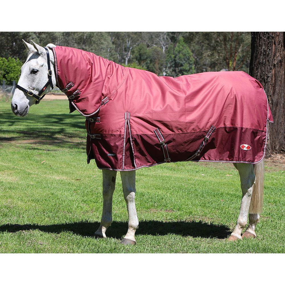 Zilco Horse Rug: Explorer 200 Combo