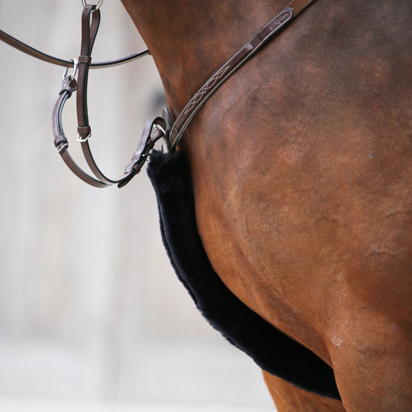 Kentucky Sheepskin Breastplate Cover