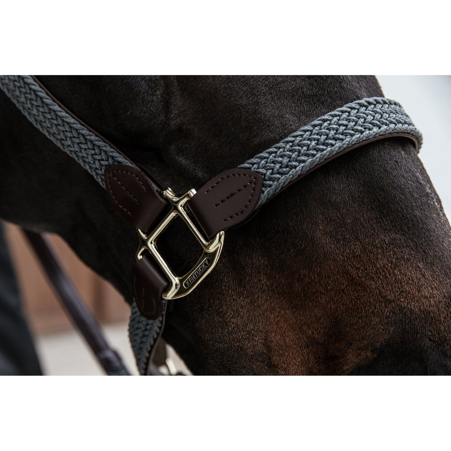 Kentucky Horsewear Plaited Nylon Halter