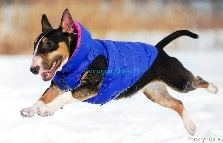 Airyvest Blue & Black-Dog Rugs & Fashion-Ascot Saddlery