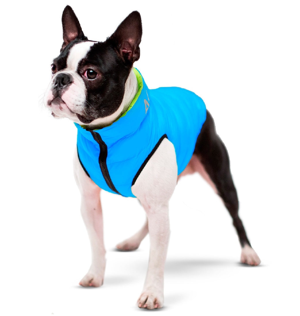 Airyvest Blue & Black-Dog Rugs & Fashion-Ascot Saddlery