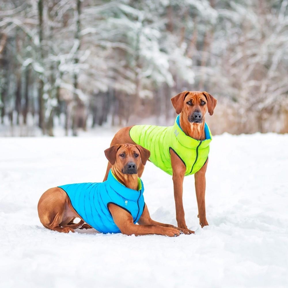 Airyvest Pink & Purple-Dog Rugs & Fashion-Ascot Saddlery