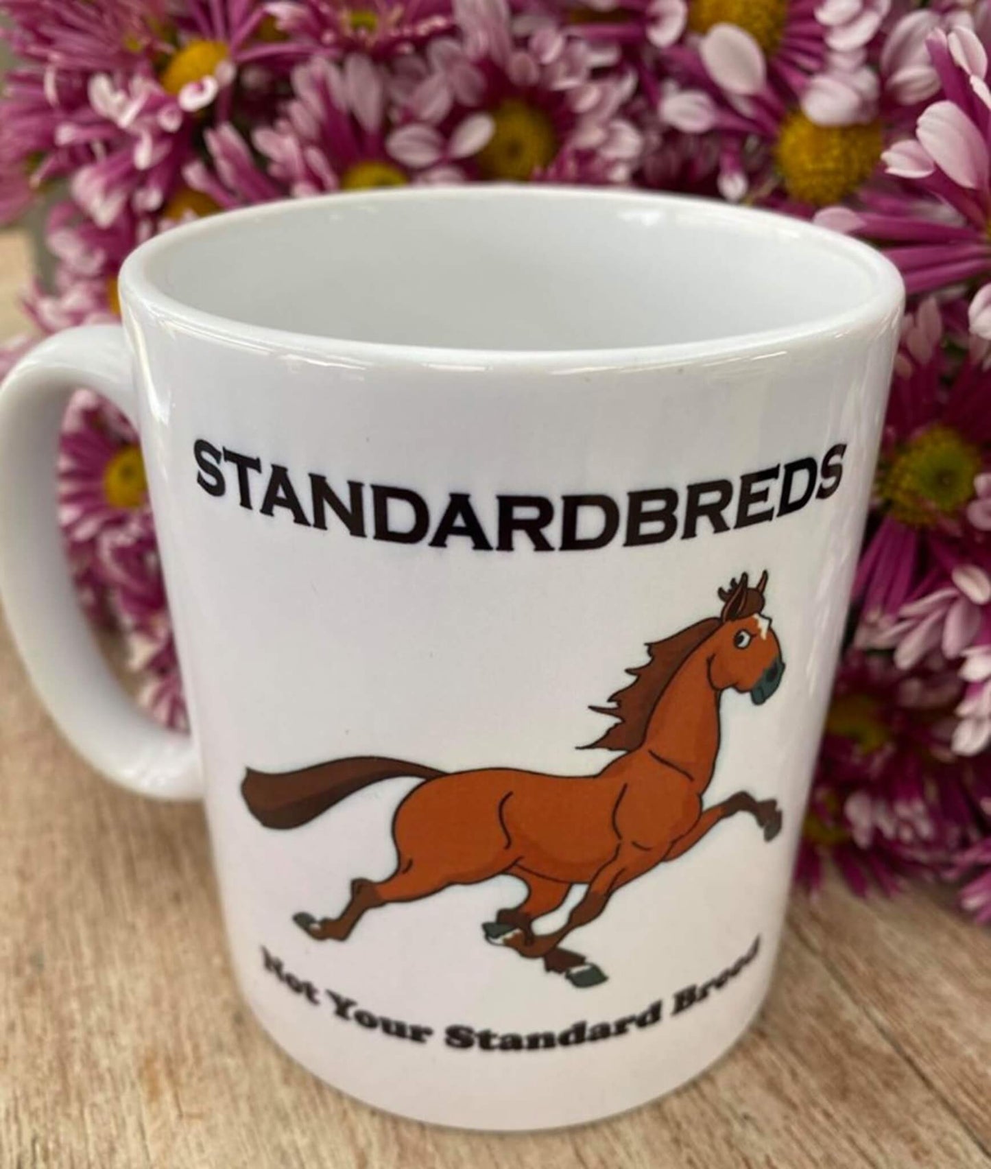 Not Your Standardred Mug