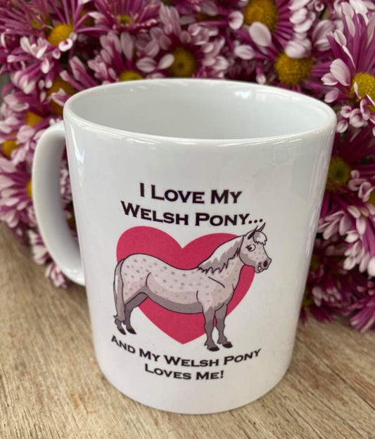 Welsh Pony Mug