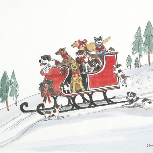 Dogs in Sleigh Card