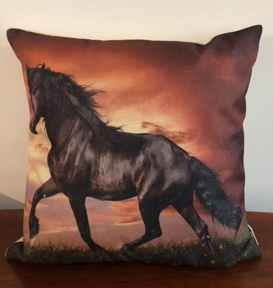 Friesian Cushion