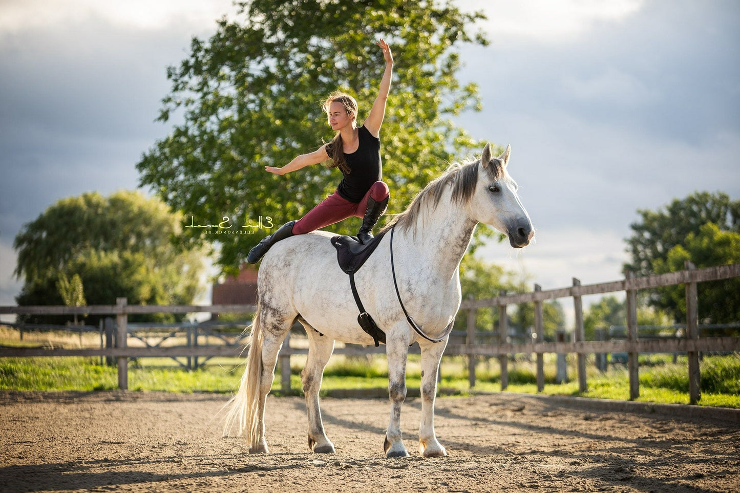 Bareback Pad Riding Stirrups by ThinLine