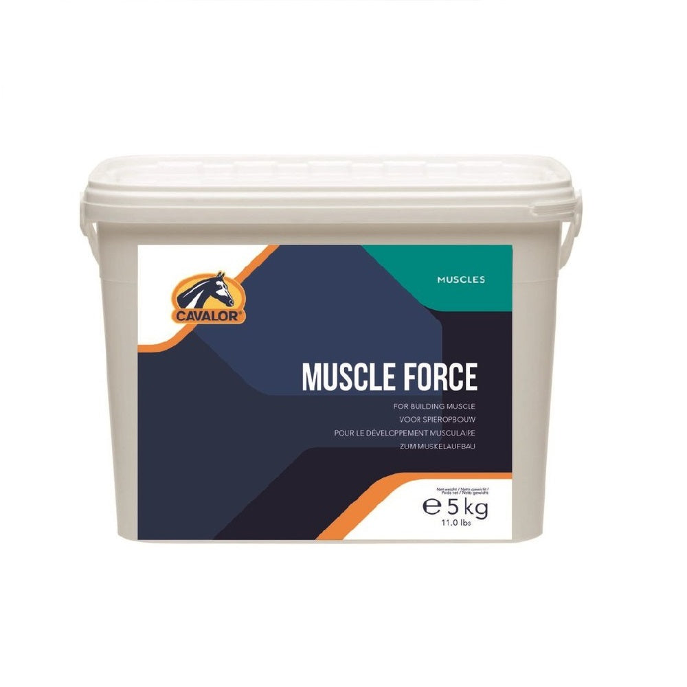 Muscle Force