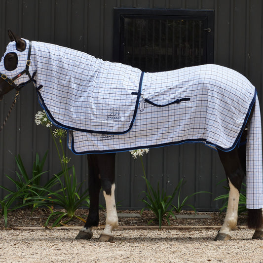 Check Collar Show Rug, Hood, and Tail Bag Set