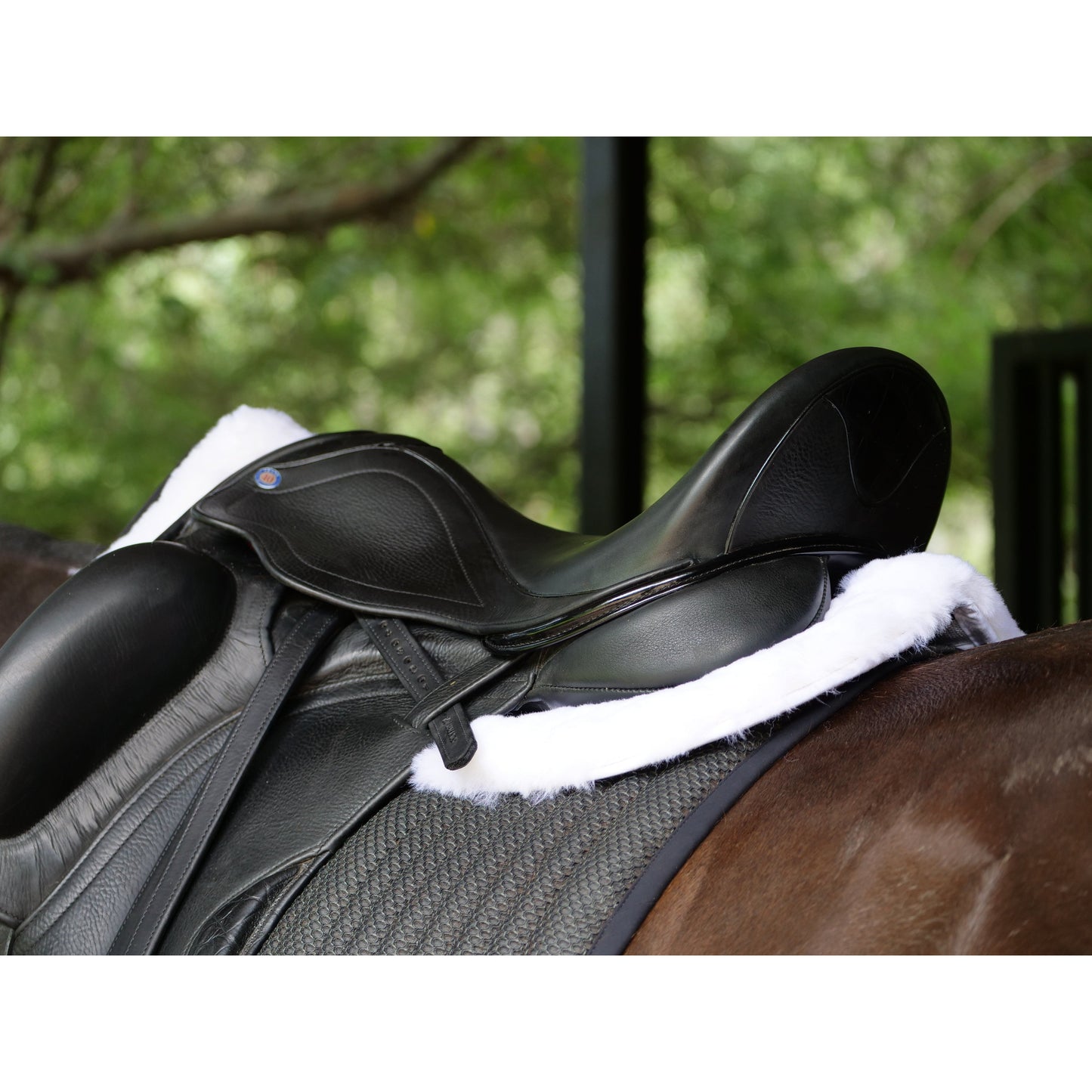 ThinLine Trifecta Cotton Half Pad With Sheepskin Trim