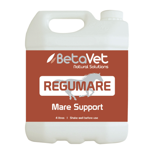 BetaVet Regumare -  BetaVet