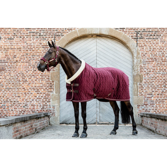 Kentucky Horsewear's Velvet Show Rug