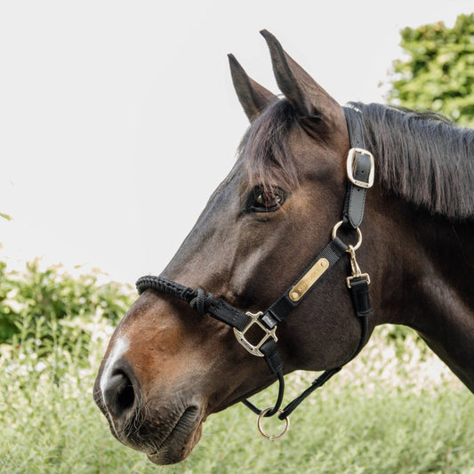 Kentucky Horsewear Control Halter - Nylon