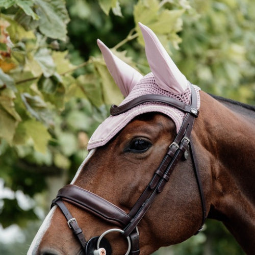 Kentucky Wellington Ear Bonnet - Velvet