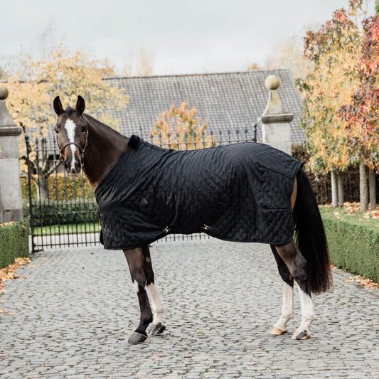 0g Kentucky Horse Rug For Stable