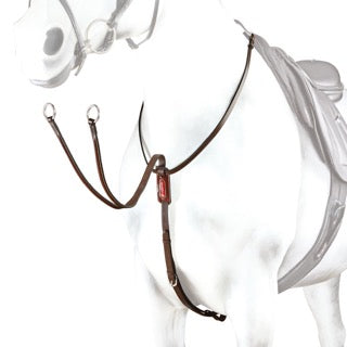 Equipe bridle on white horse.