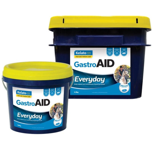 Kelato GastroAID Everyday-kelato-Southern Sport Horses