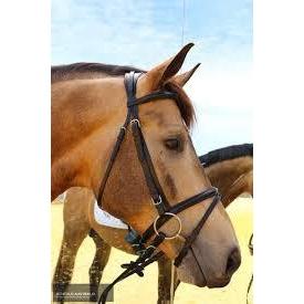 Kentaur 'Comfort Poll' Bridle-Southern Sport Horses-The Equestrian