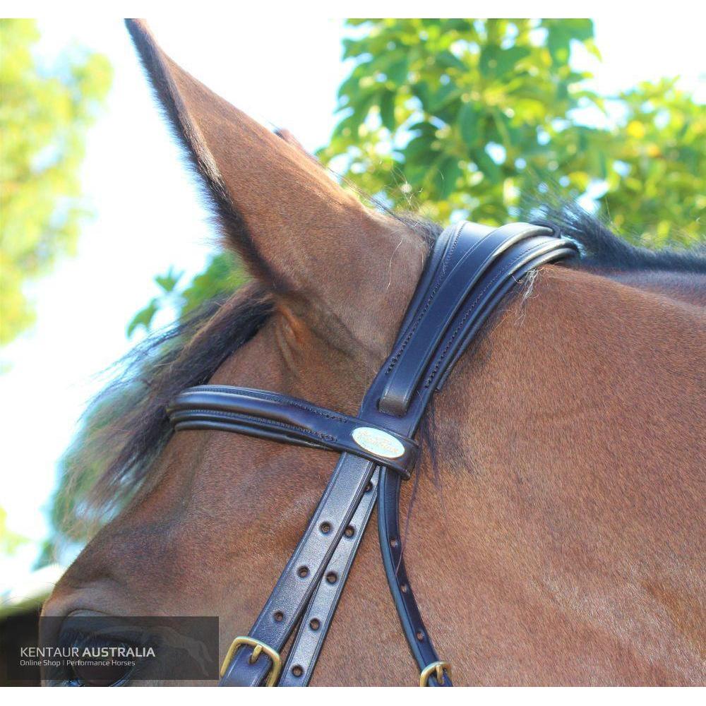 Kentaur 'Comfort Poll' Bridle-Southern Sport Horses-The Equestrian