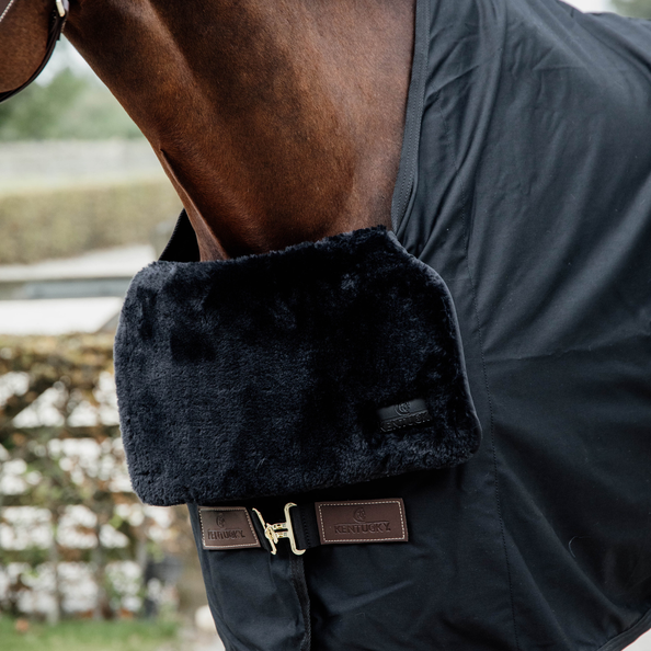 A horse wearing a black Kentucky brand horse rug.