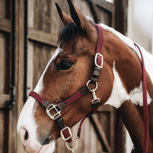 Kentucky Plaited Nylon Halter -  Saddleworld P/L