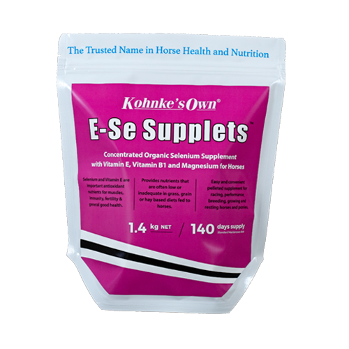 Kohnke’s Own E-Se Supplets-Southern Sport Horses-The Equestrian