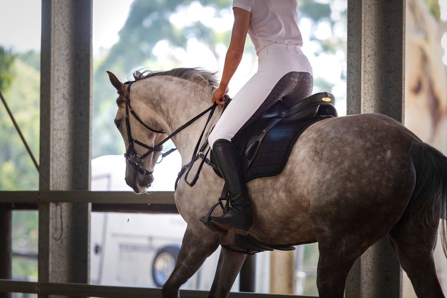 Lauren white/grey seat competition breech-QJ Riding Wear-The Equestrian