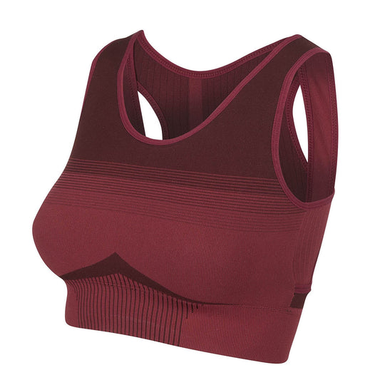 LeMieux Activewear Sports Bra