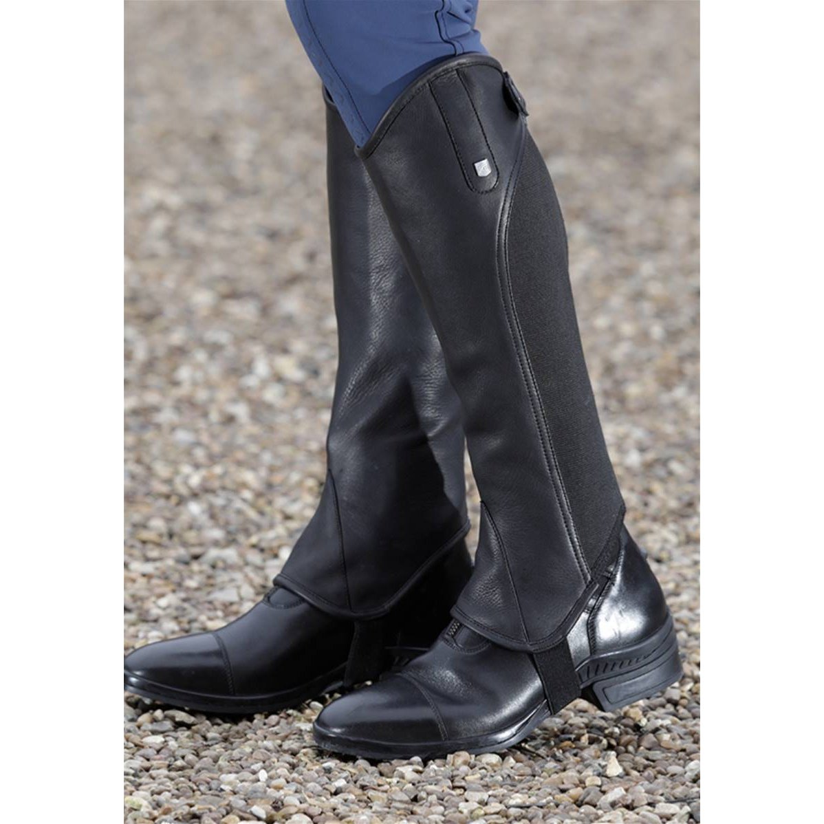 Premier Equine Emrisa Leather Half Chaps-half chaps-Southern Sport Horses