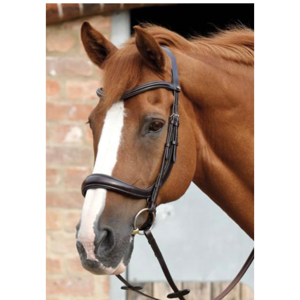 Premier Equine Lambro Anatomic Bridle with Crank Noseband-Southern Sport Horses-The Equestrian