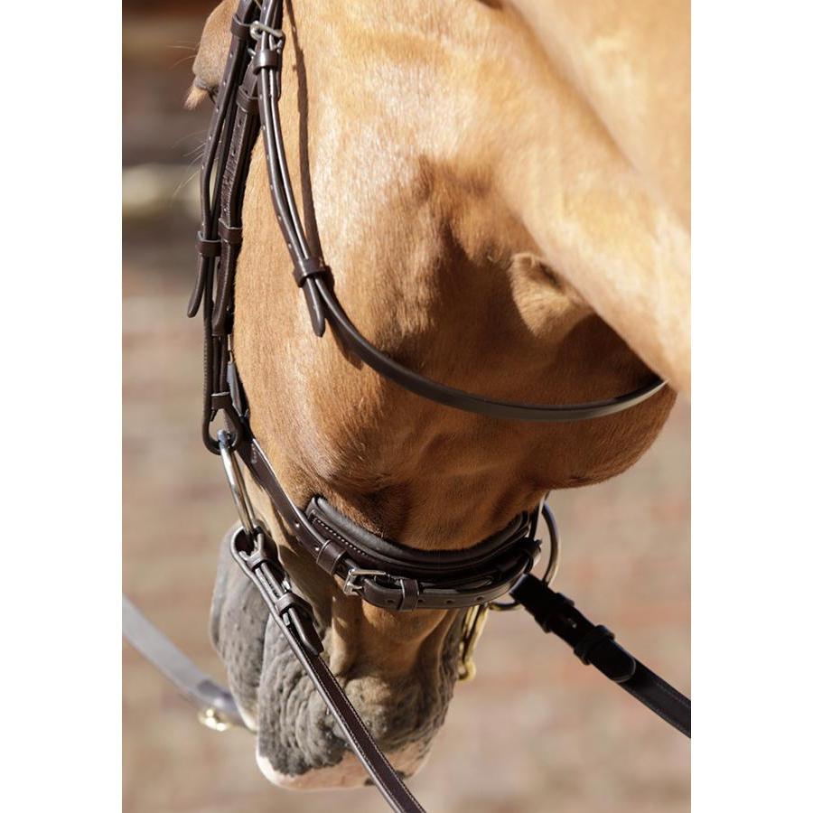 Premier Equine Verdura Anatomic Snaffle Bridle-Southern Sport Horses-The Equestrian