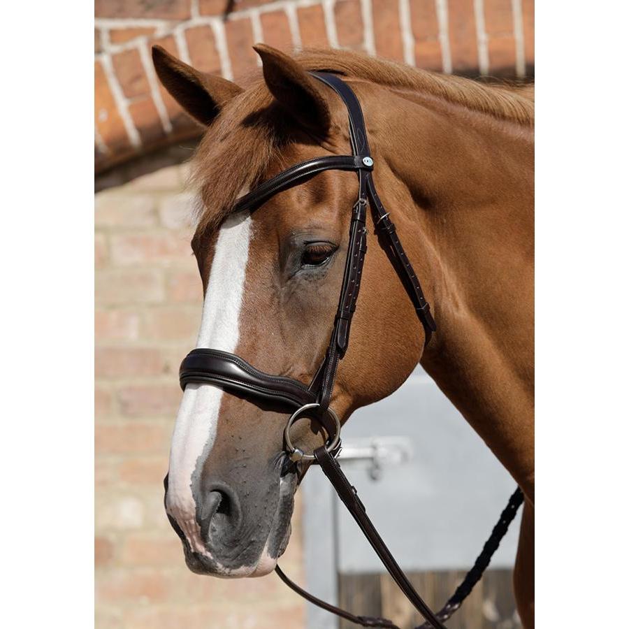 Premier Equine Verdura Anatomic Snaffle Bridle-Southern Sport Horses-The Equestrian