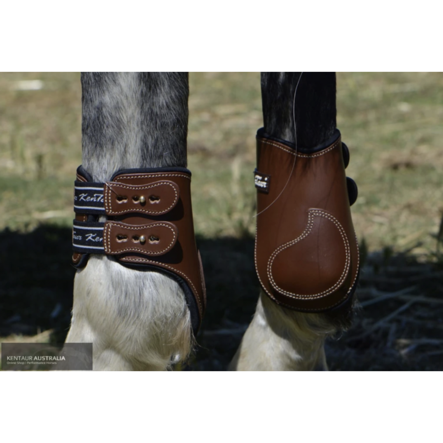 Shop Kentaur 'Roma' Leather Hind Boots for Equestrian Sports-Southern Sport Horses-The Equestrian