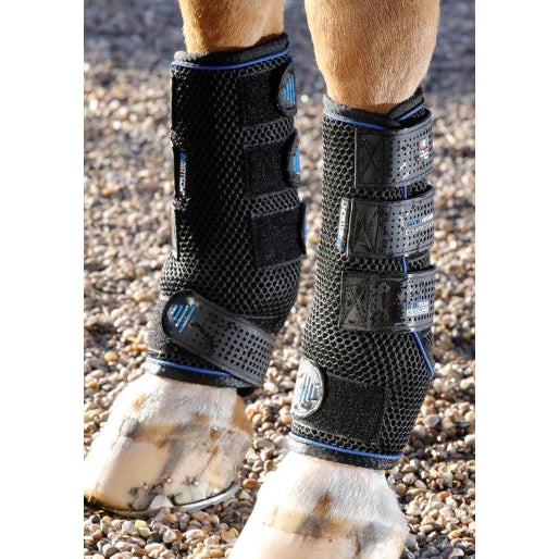 Shop Premier Equine Cold Water Compression Boots for Optimal Recovery-Southern Sport Horses-The Equestrian