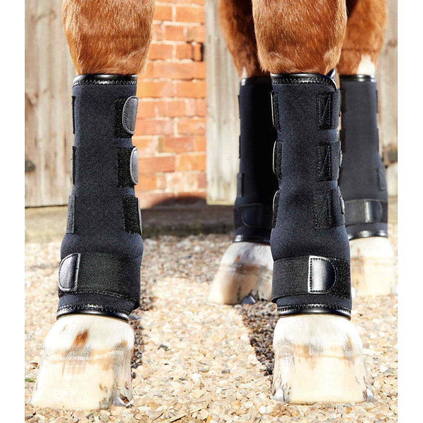 Shop Premier Equine Turnout Boots - High-Quality Protection for Your Horse's Legs-Southern Sport Horses-The Equestrian