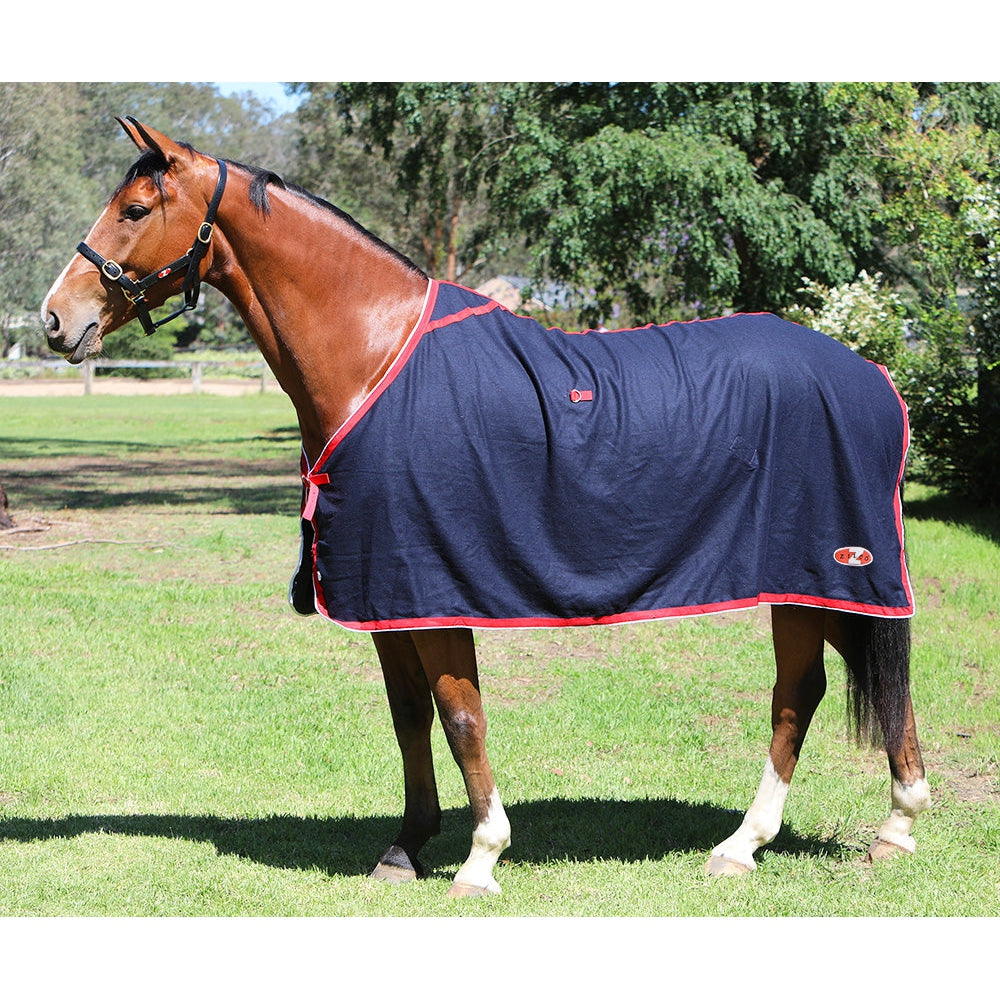 Bay horse in field wearing a navy WeatherBeeta horse show rug.