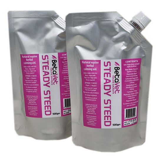 Betavet Steady Steed Paste 500g