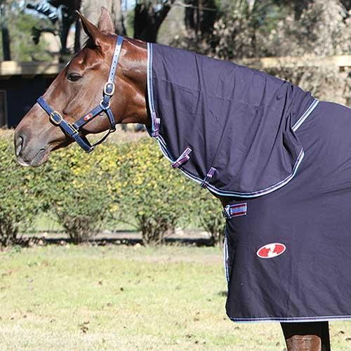 A horse wearing a WeatherBeeta branded dark-colored show rug.